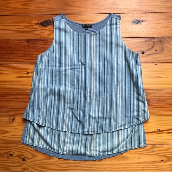DG2 Diane Gilman Blue Soft Denim Striped Tank Top, EUC, M - Picture 3 of 13